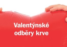 Oslavit valentýnský svátek zamilovaných při odběru krve přišlo 57 nových dárců