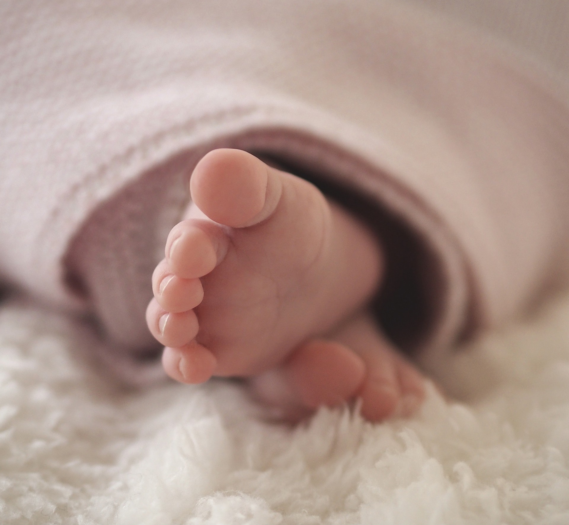 Dnes po deváté hodině bylo v babyboxu Pardubické nemocnice nalezeno miminko