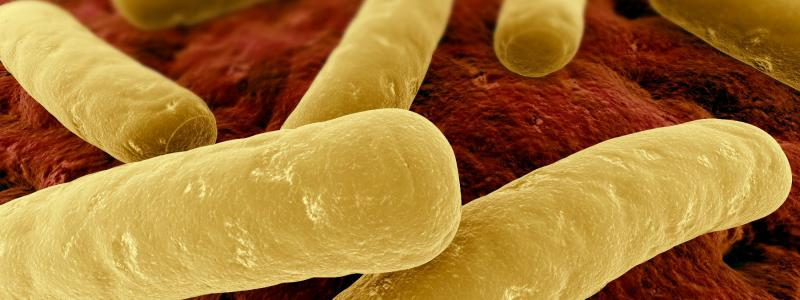 II. krajský mezioborový mikrobiologicko-infektologický seminář